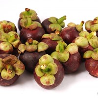 Портфолио Joshep Kure